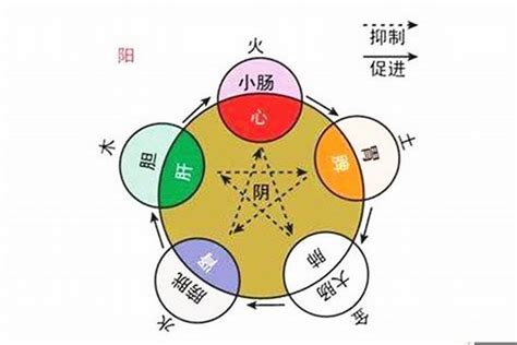 澄 五行屬性|澄字的五行是什么,澄的五行属性及吉利寓意